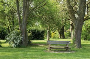 Parc des 3M
