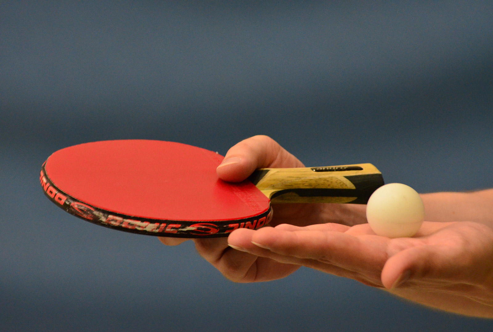 Le tennis de table : histoire, règles et matériel - Casal Sport