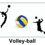 volley ball