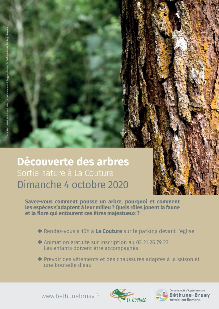Retour en image de la Découverte des arbres du dimanche 4 octobre 2020