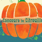 concours citrouille 1