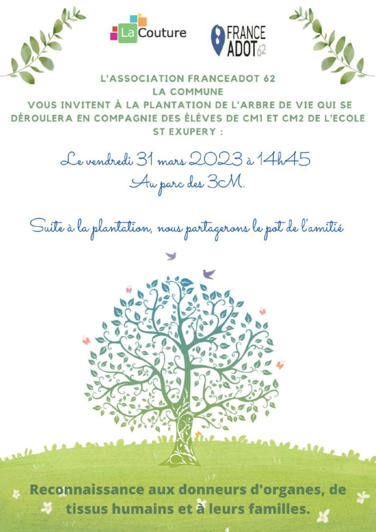 Plantation arbre de vie